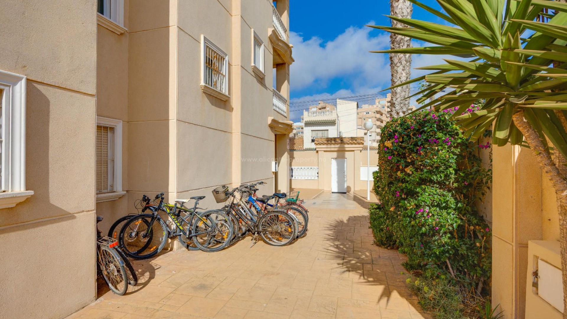 Apartment / flat in Torrevieja Centro