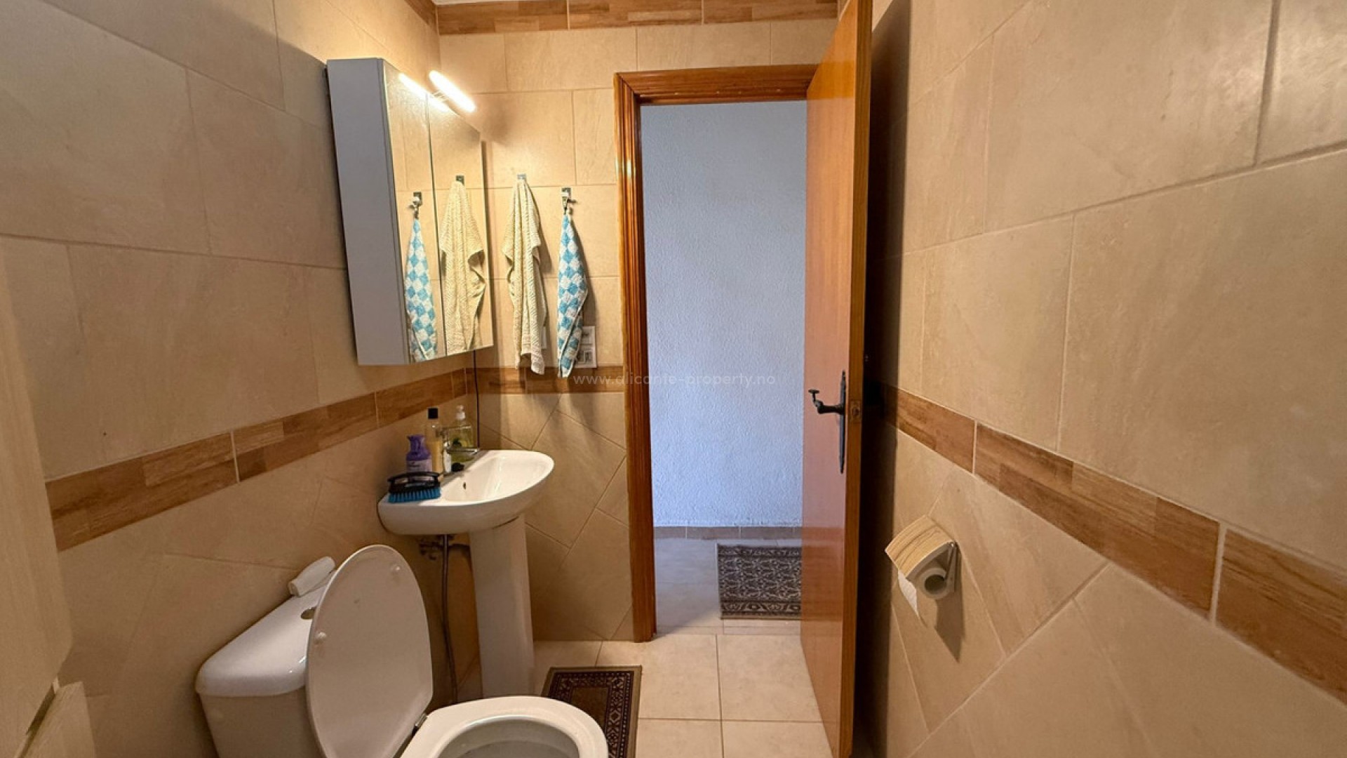 Apartment / flat in Torrevieja Centro