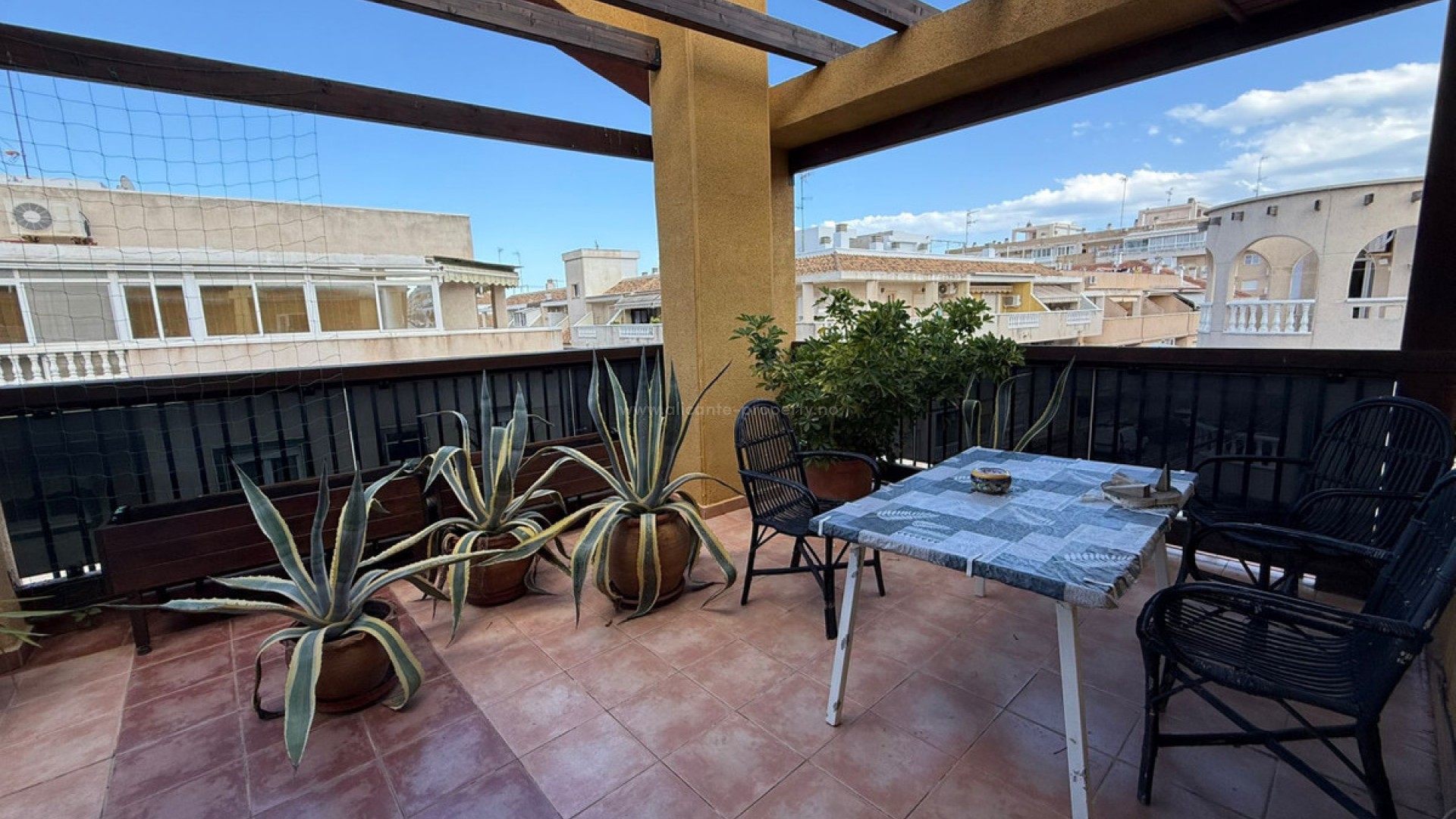 Apartment / flat in Torrevieja Centro
