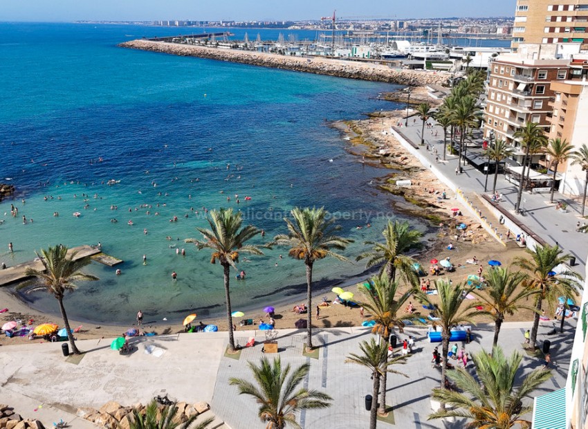 Apartment / flat in Torrevieja Centro