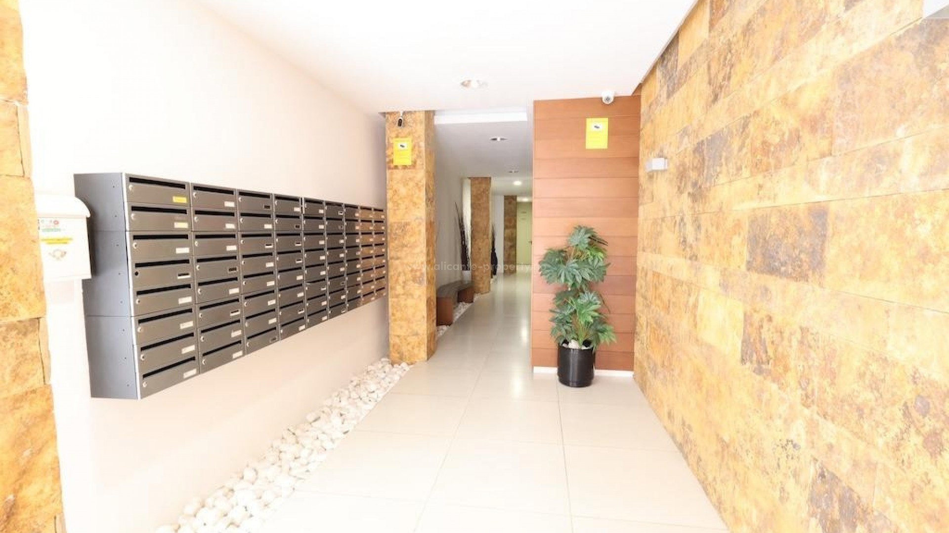 Apartment / flat in Torrevieja Centro