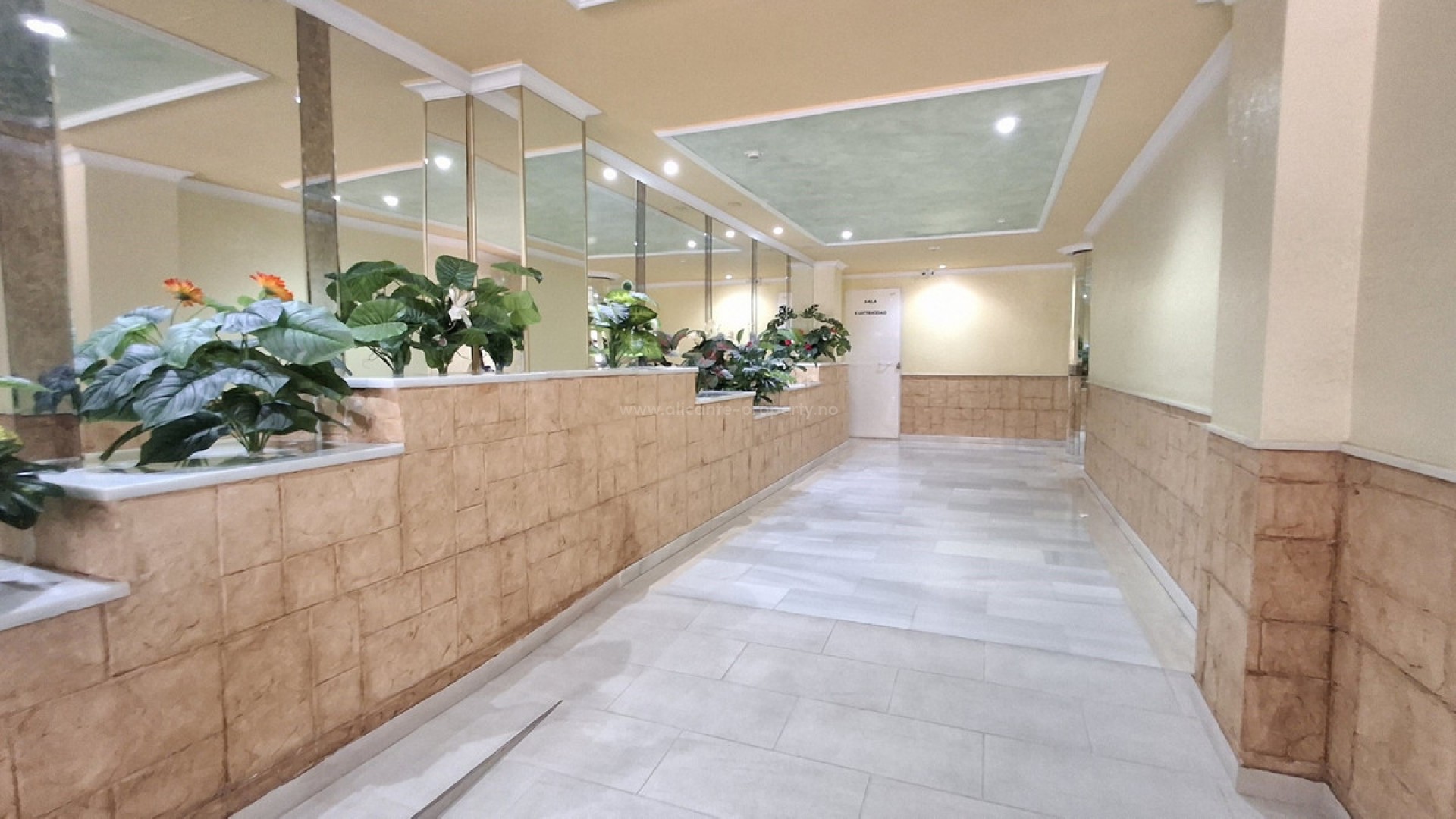 Apartment / flat in Torrevieja Centro