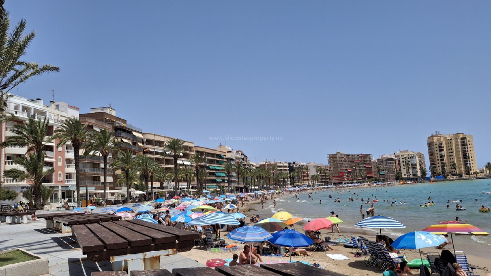 Apartment / flat in Torrevieja Centro