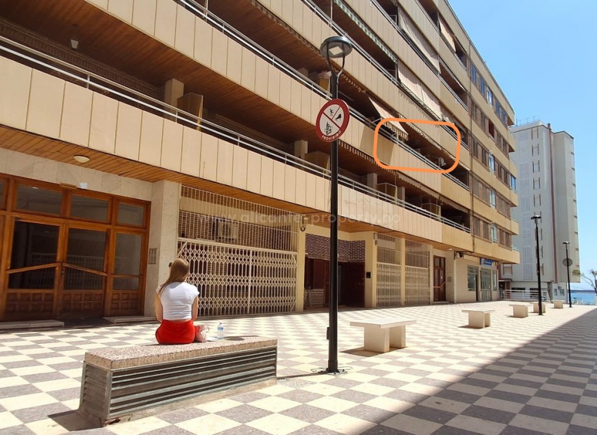 Apartment / flat in Torrevieja Centro