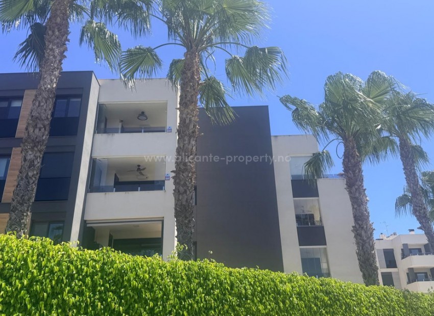 Apartment / flat in Torrevieja Centro