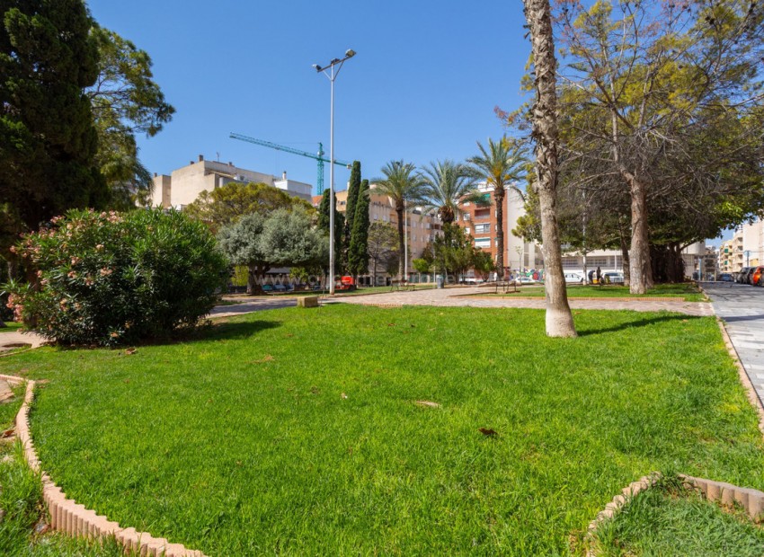 Apartment / flat in Torrevieja Centro