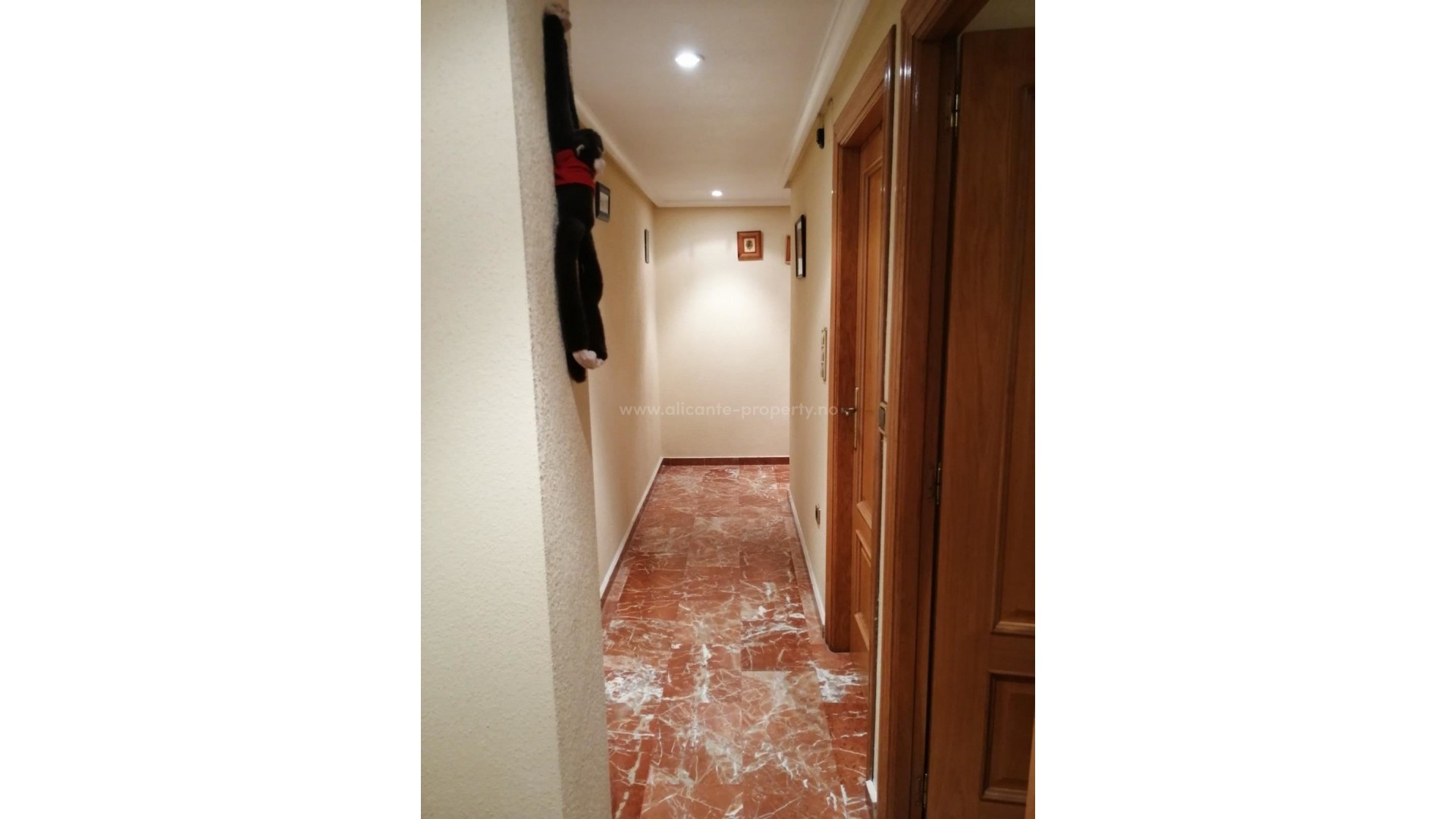 Apartment / flat in Torrevieja Centro