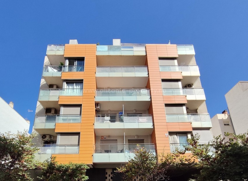 Apartment / flat in Torrevieja Centro