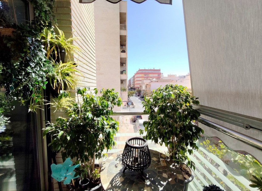 Apartment / flat in Torrevieja Centro