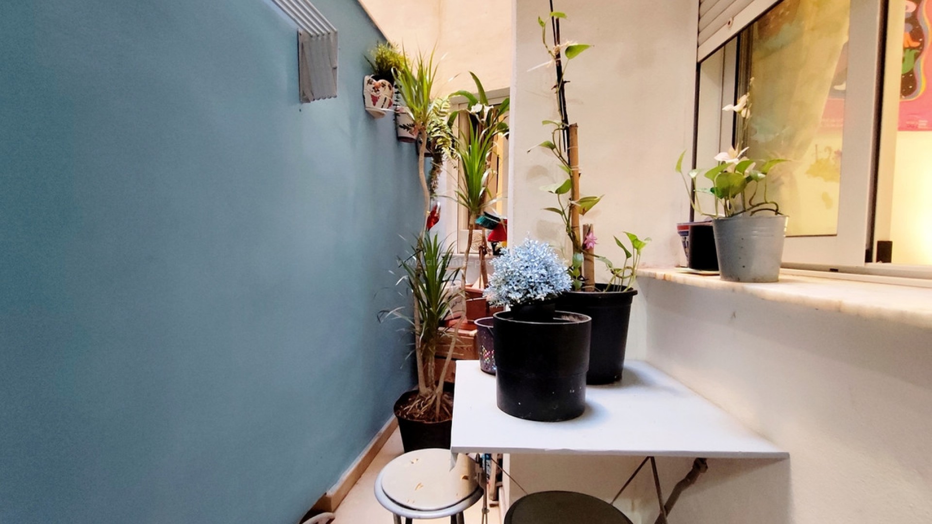 Apartment / flat in Torrevieja Centro