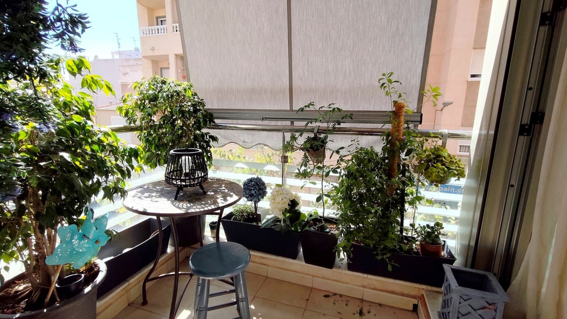 Apartment / flat in Torrevieja Centro