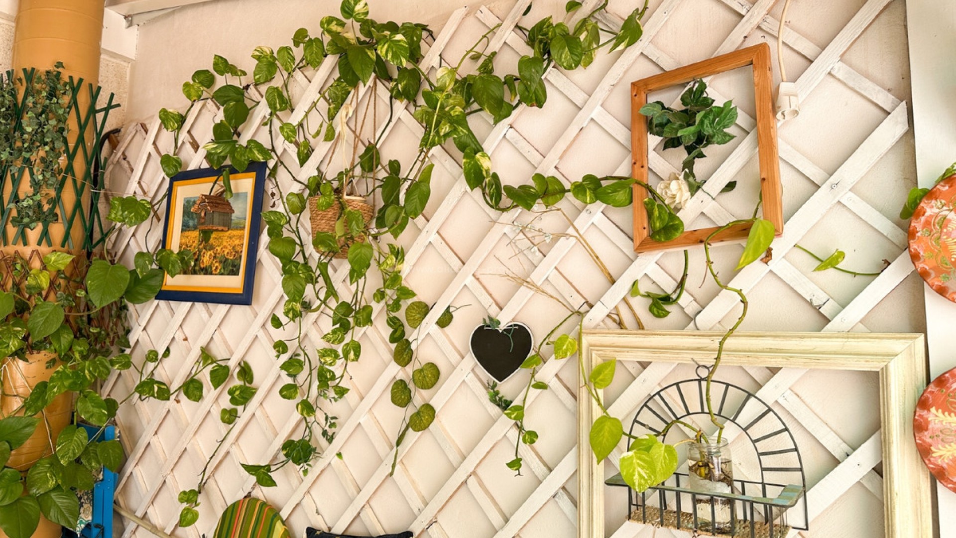 Apartment / flat in Torrevieja Centro