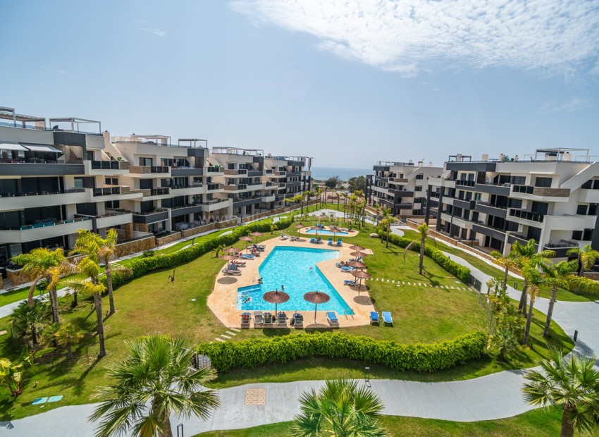 Apartment / flat in Torrevieja Centro