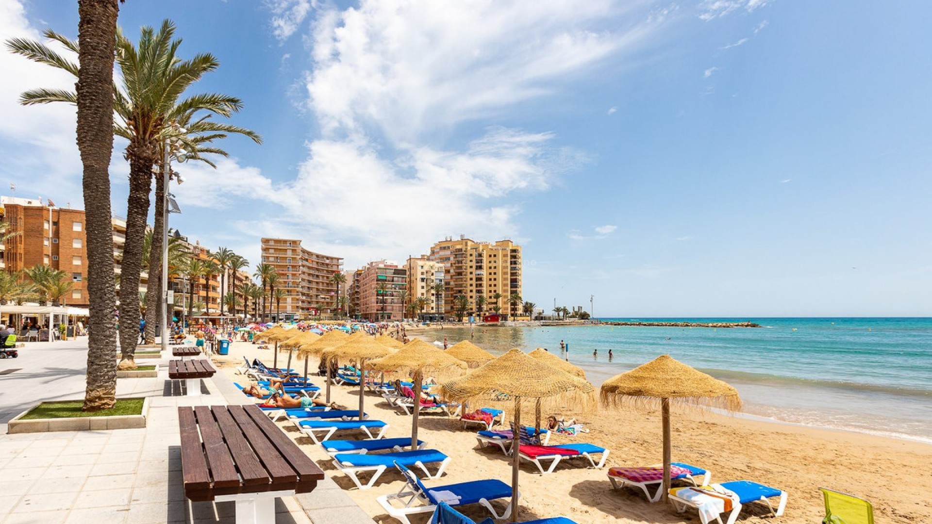 Apartment / flat in Torrevieja Centro