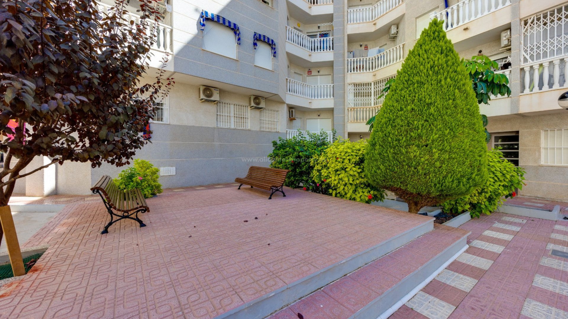 Apartment / flat in Torrevieja Centro