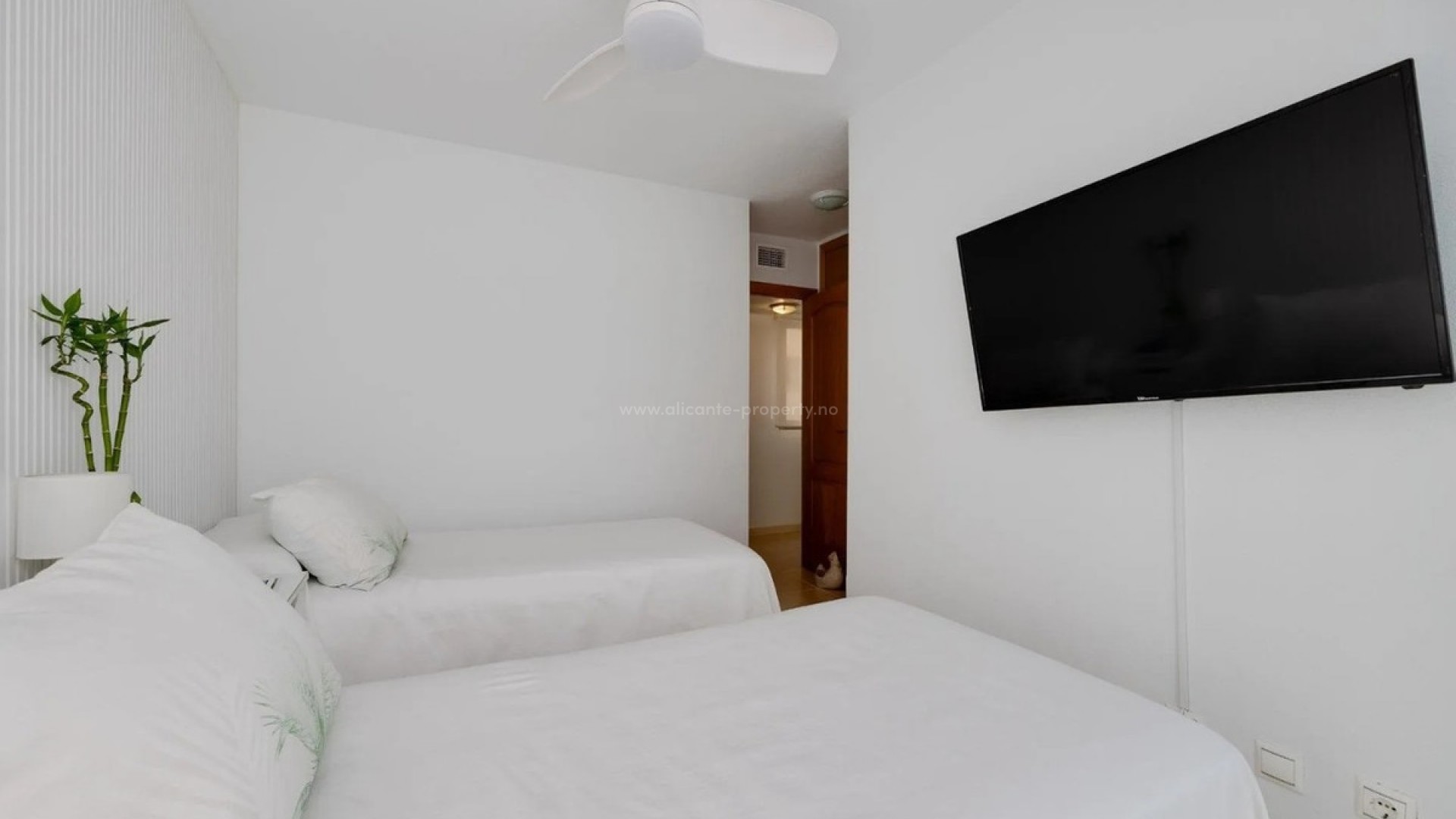 Apartment / flat in Torrevieja Centro