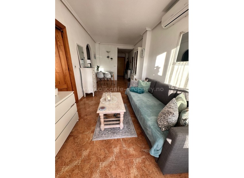 Apartment / flat in Torrevieja Centro