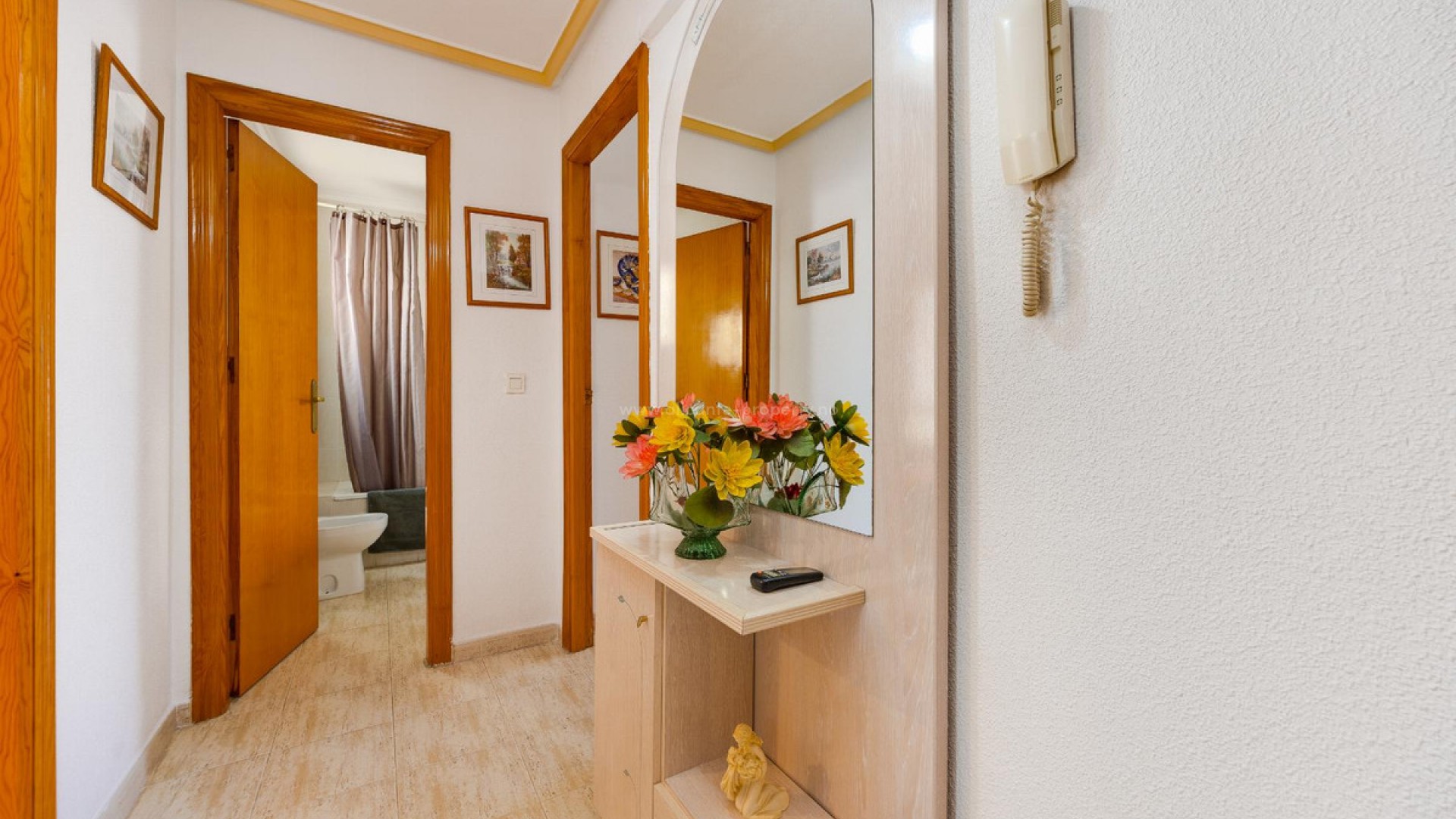 Apartment / flat in Torrevieja Centro