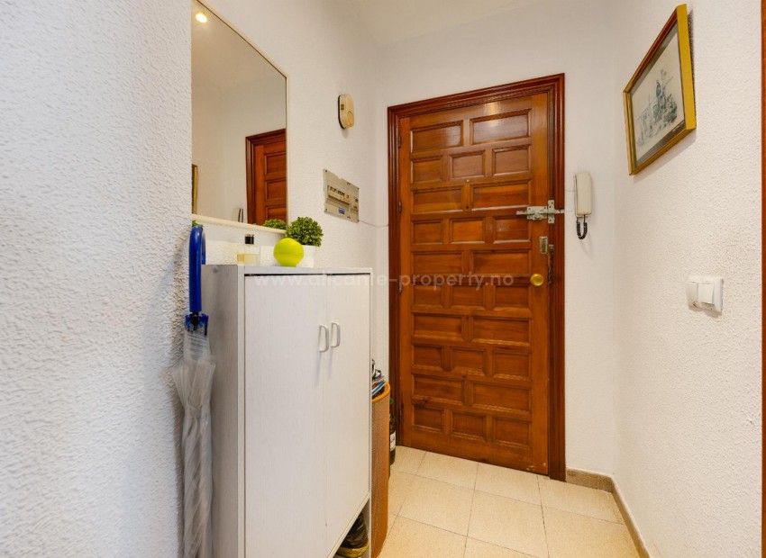 Apartment / flat in Torrevieja Centro