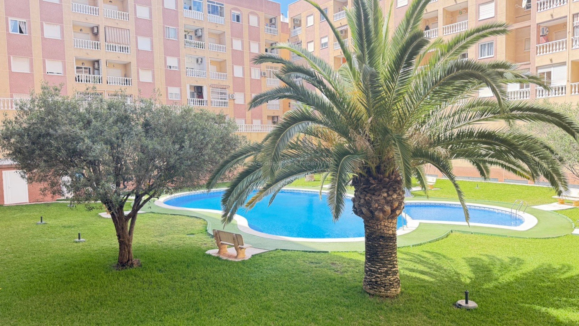 Apartment / flat in Torrevieja Centro