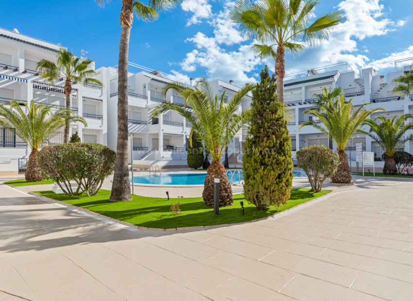 Apartment / flat in Torrevieja Centro