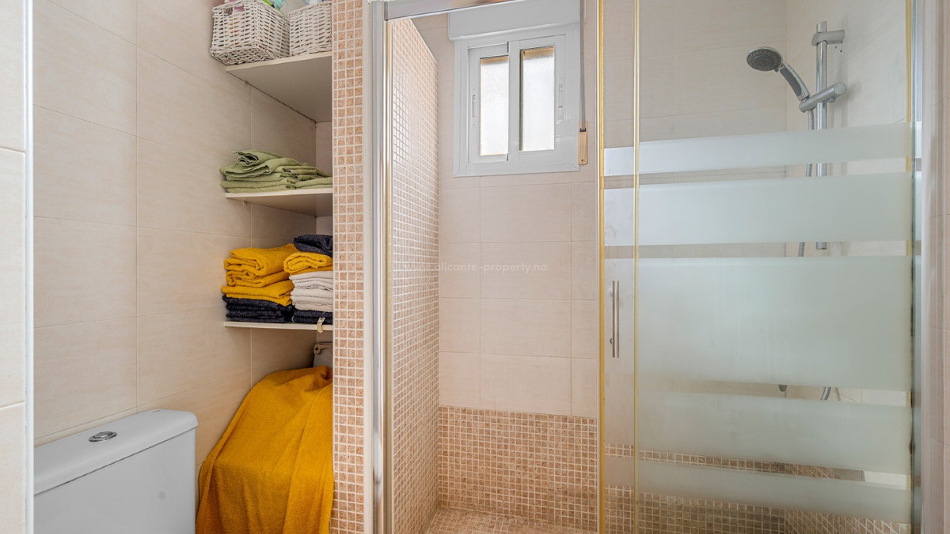Apartment / flat in Torrevieja Centro