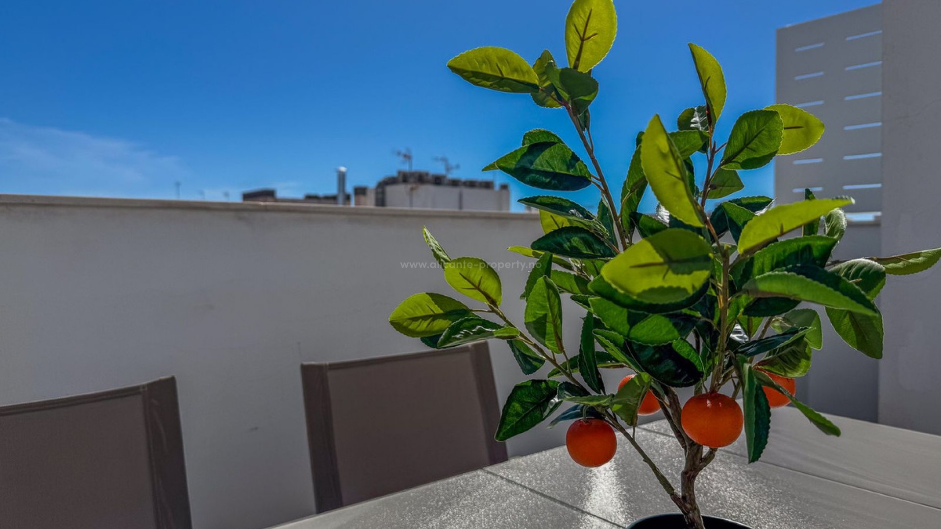 Apartment / flat in Torrevieja Centro