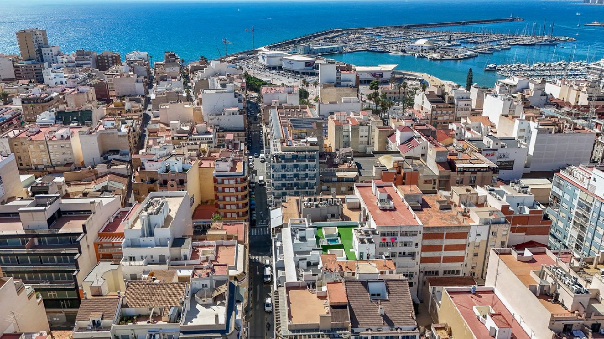 Apartment / flat in Torrevieja Centro