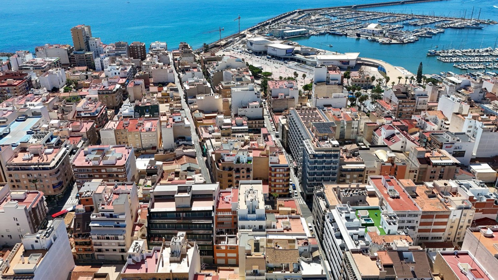 Apartment / flat in Torrevieja Centro