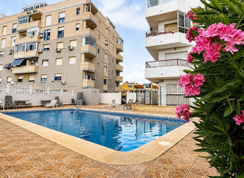 Apartment / flat in Torrevieja Centro