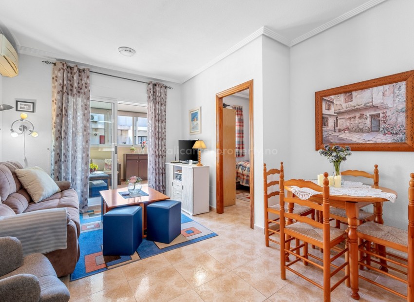 Apartment / flat in Torrevieja Centro