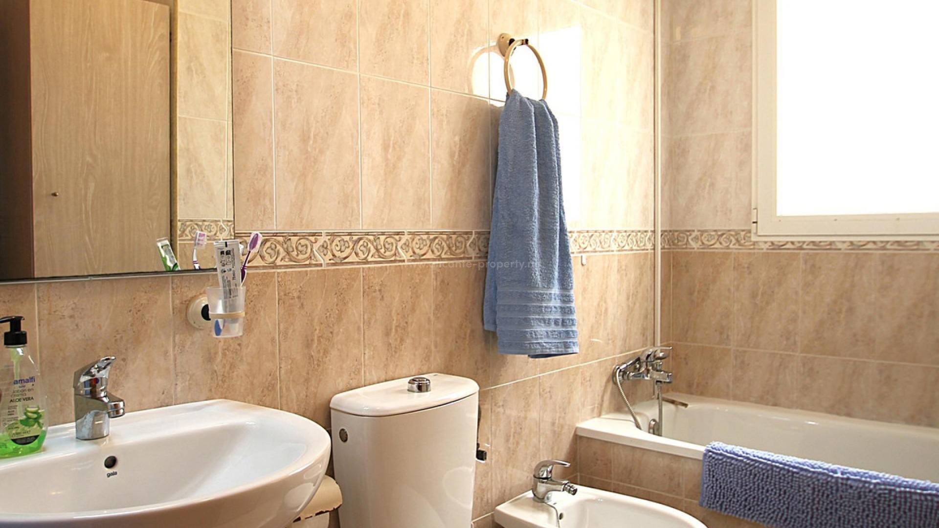 Apartment / flat in Torrevieja Centro
