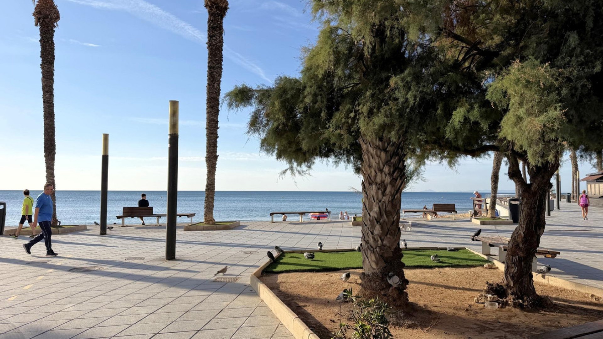 Apartment / flat in Torrevieja Centro