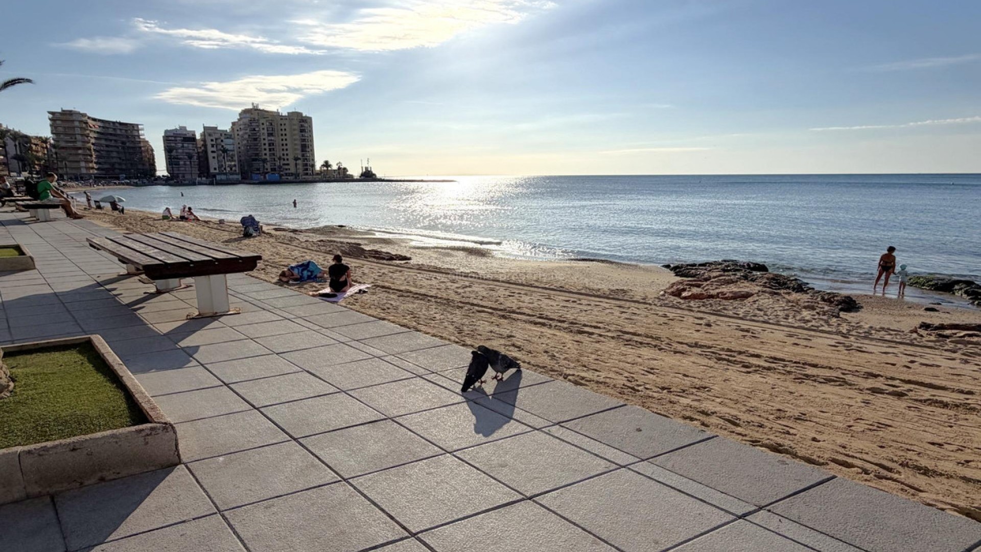 Apartment / flat in Torrevieja Centro