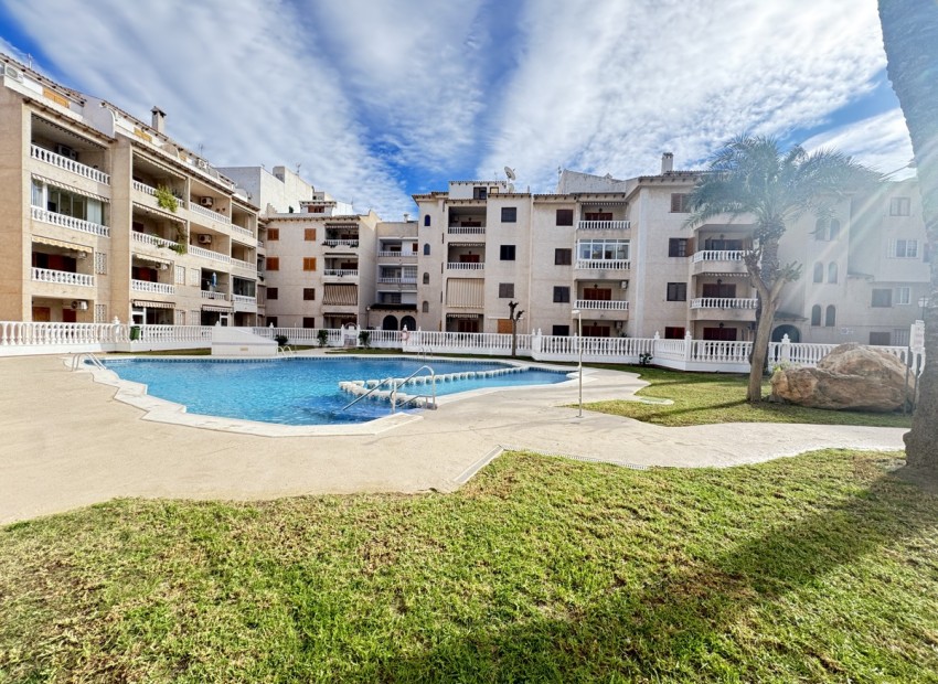 Apartment / flat in Torrevieja