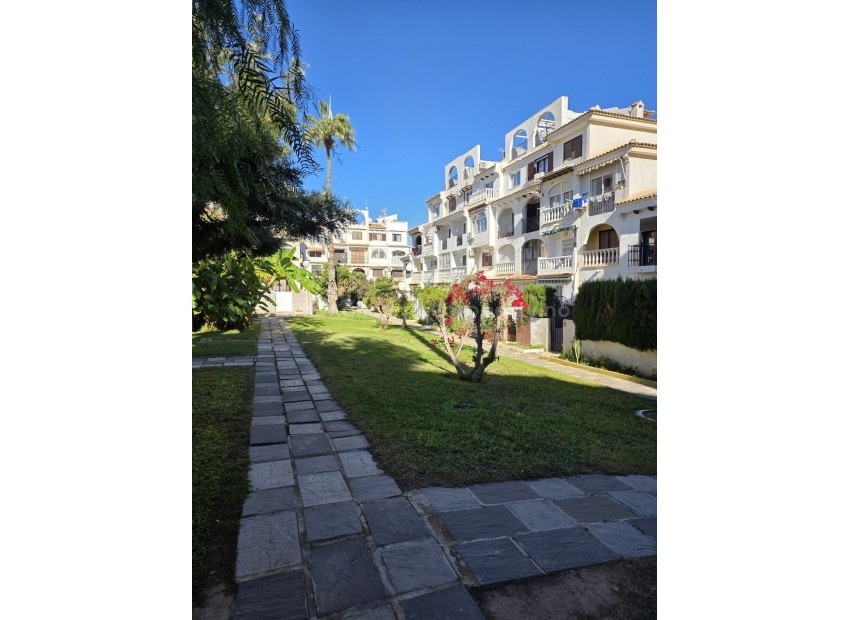 Apartment / flat in Torrevieja