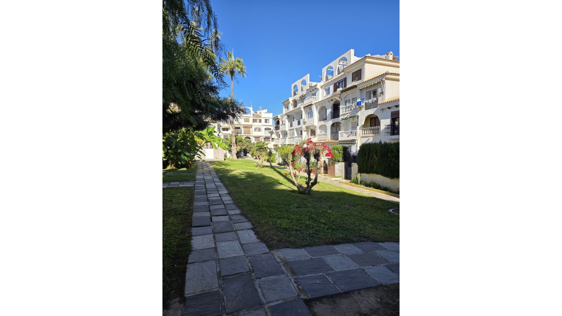 Apartment / flat in Torrevieja