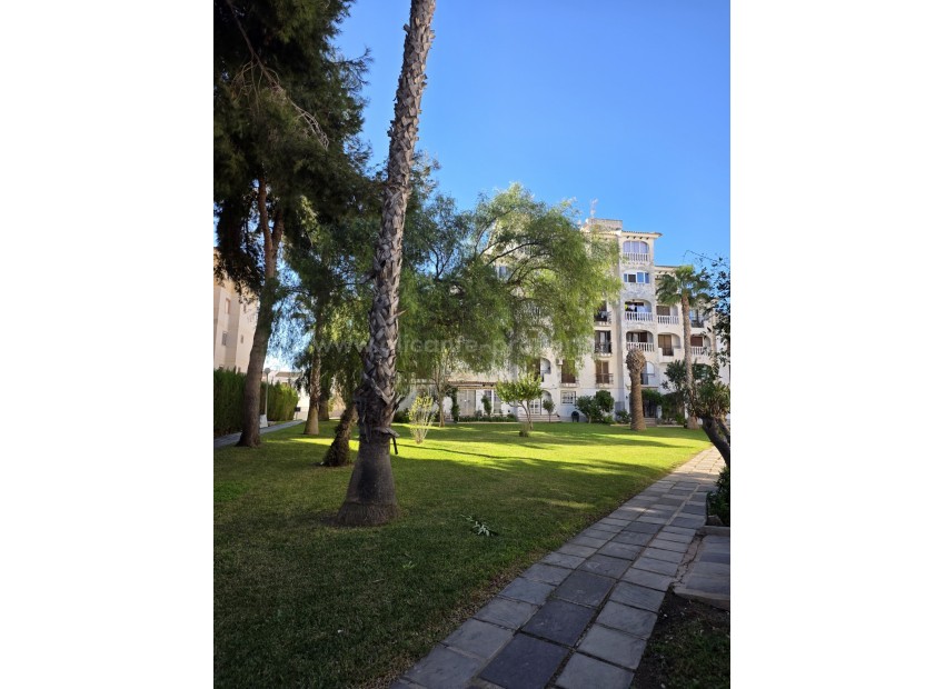 Apartment / flat in Torrevieja