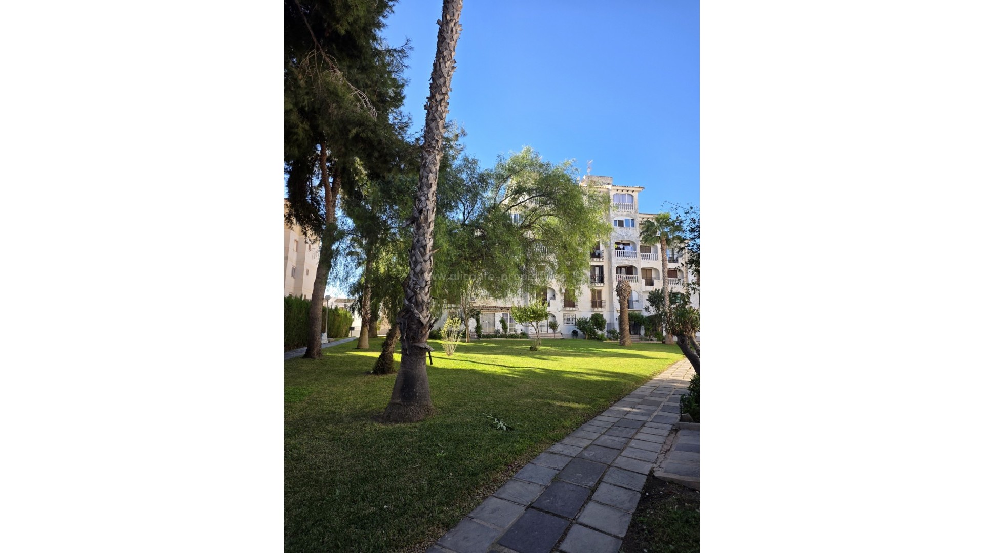 Apartment / flat in Torrevieja