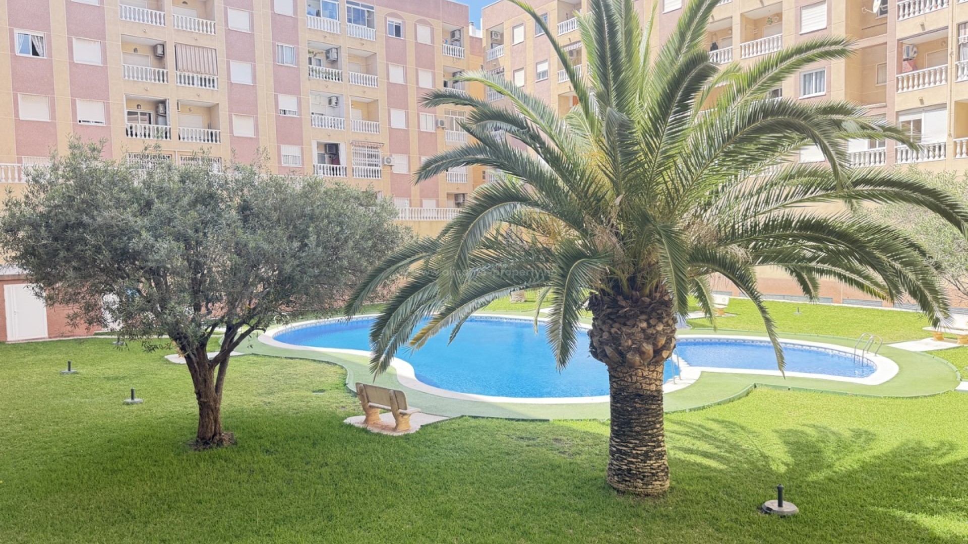 Apartment / flat in Torrevieja