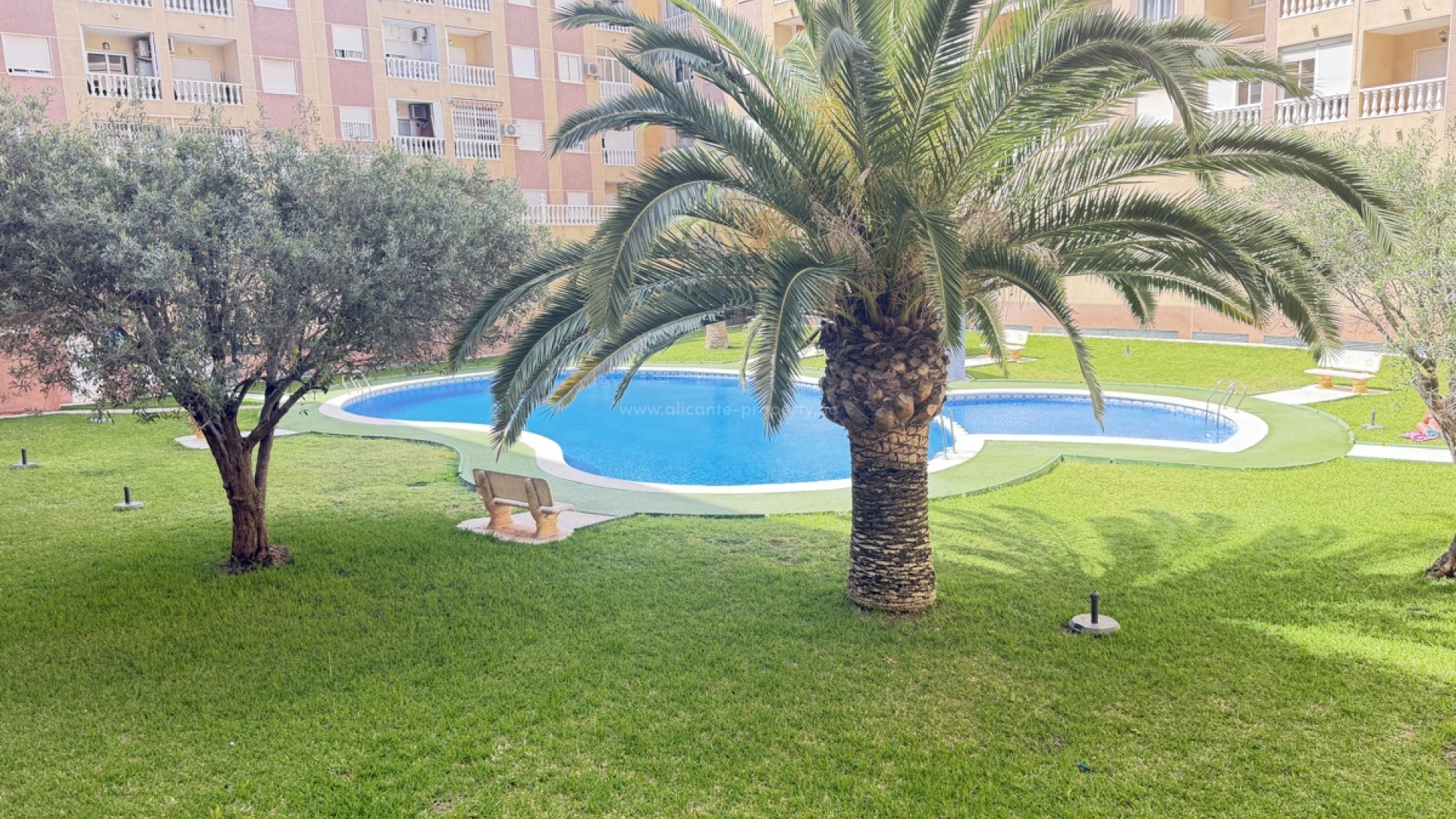 Apartment / flat in Torrevieja