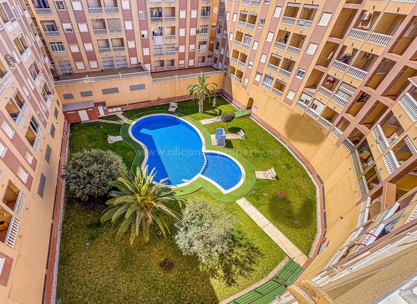 Apartment / flat in Torrevieja