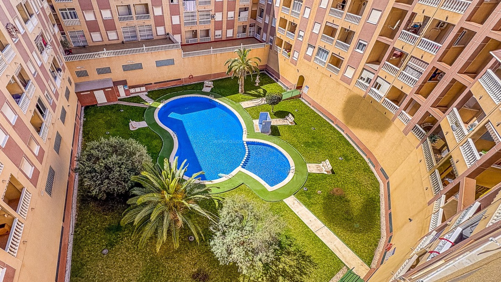 Apartment / flat in Torrevieja