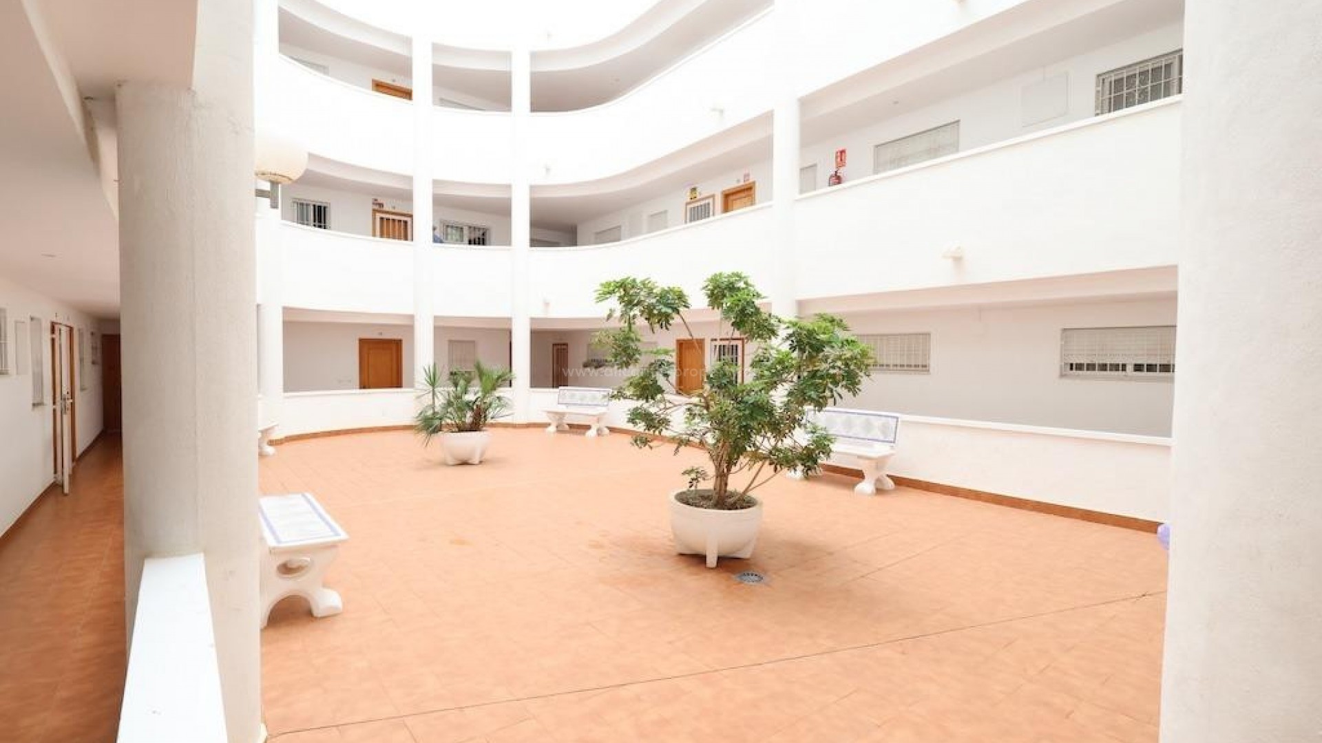 Apartment / flat in Torrevieja
