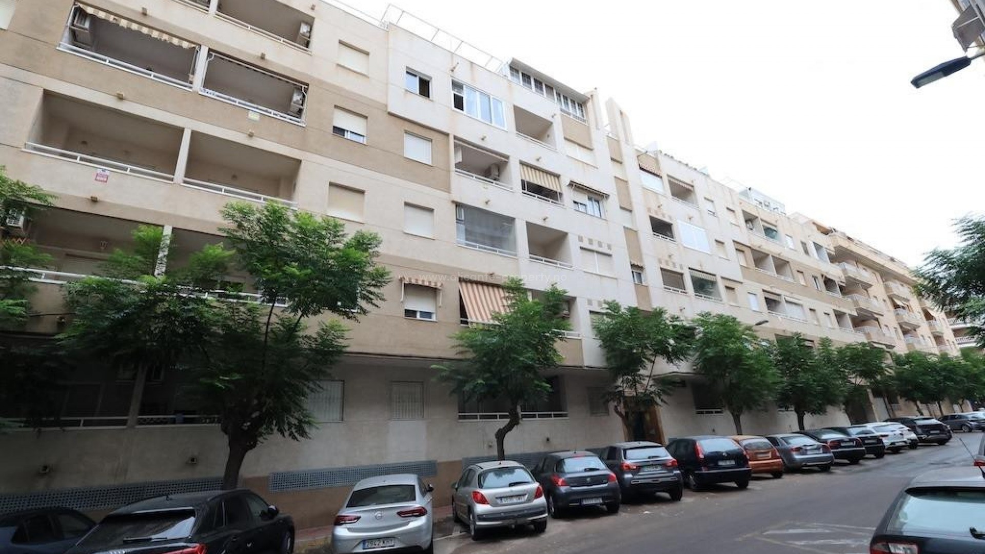 Apartment / flat in Torrevieja