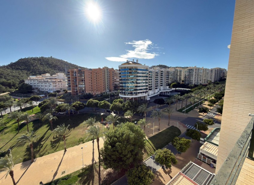 Apartment / flat in Villajoyosa Centro