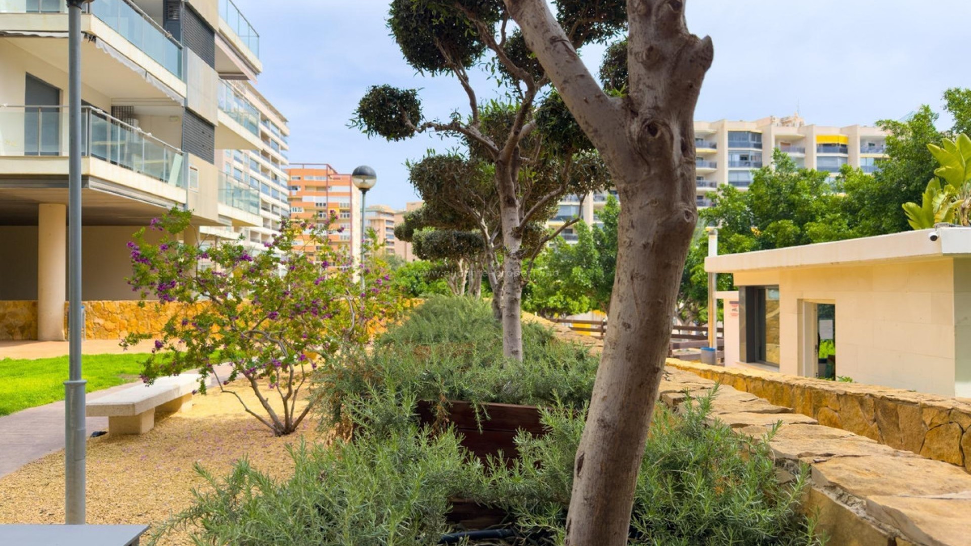 Apartment / flat in Villajoyosa Centro