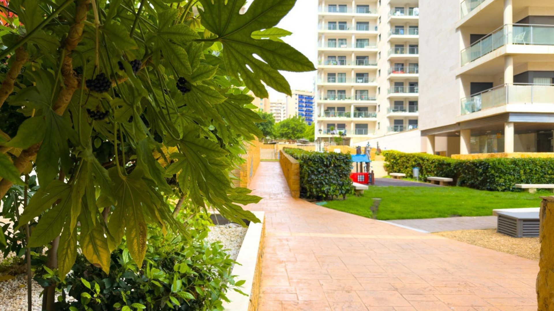 Apartment / flat in Villajoyosa Centro