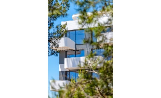 Apartment / flat - New Build - Guardamar del Segura - CB-78652