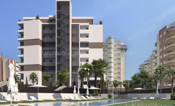 Apartment / flat - New Build - Guardamar del Segura - Puerto